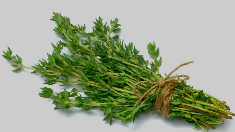 Thyme Leaves
